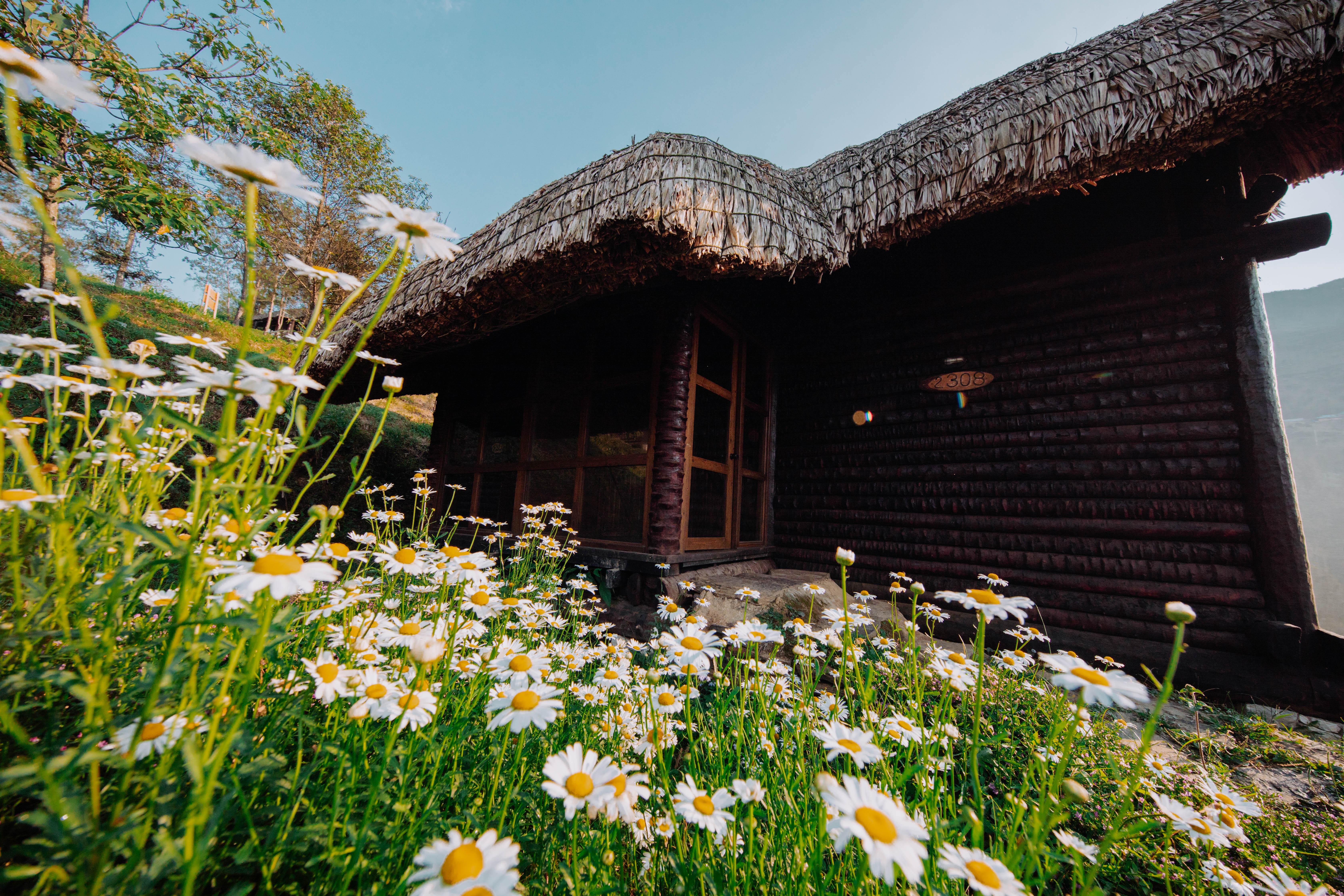 Sapa Jade Hill Resort&Spa Exteriör bild